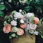 Darrin Anderson - @darrin.anderson.900 - Instagram