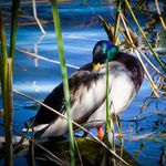 Darrin Armstrong Photography - @darrin_armstrong_photography - Instagram