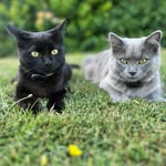 Darren Ash - @darrenash1975 - Instagram