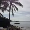 Darrin Bailey - @darrinbailey1 - TikTok
