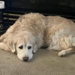 Darrin Bailey - @darrinbailey8955 - Instagram