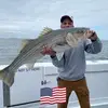darrinbell2 - @darrin.bell - TikTok