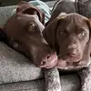 darrinbruce53 - @darrinbruce53 - TikTok