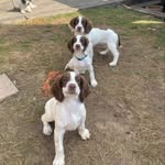 Darren Garner - @darren.garner71 - Instagram
