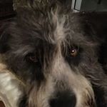 Darrin Garner - @renragnirrad - Instagram