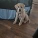Darrin Keller - Facebook