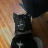 Darren ❤️ Lilly - @darren.roberts46 - TikTok