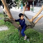 Darren Maxwell - @secondbrandsecond - Instagram