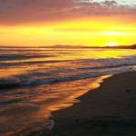 Darrin Moen - @darrinmoen8 - Instagram