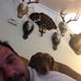 Darren Pierce - Facebook