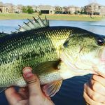Darren Powell - @darren.powell.35728 - Instagram
