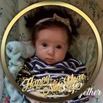Darrin Powell - @darrin.powell.5496 - Instagram