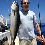 Darrin Powell - @darrin_powell - Instagram