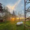 Darin Reed - @darin.reed - TikTok