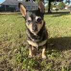 Darrin Ross - Facebook