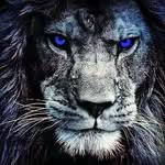 Darrin Scott - @darrin.scott.aka.scottboy - Instagram