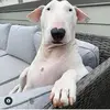 darrinwade69 - @darrinwade69 - TikTok