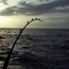 Darrinwade_ - @darrinwade_ - TikTok