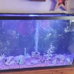 Darren Wells - @darren.wells.9480 - Instagram