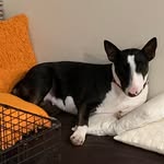 Darrin Wells - @darrin.wells.98 - Instagram