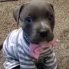 Darrion Johnson - @darrion.johnson4 - TikTok