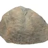 Darius Nesbitt - @omnipotentrock0 - TikTok