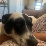 Darius_Nesbitt - @darius_nez - Instagram