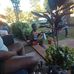 Darrius Robinson - Facebook