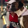 darronborella - @darronborella - TikTok
