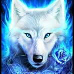 Darren Burton - Facebook