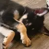 Darrion Byrd - @darrion.byrd - TikTok