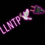 Darone' Angelo Covington - @longlivethaplug - Instagram