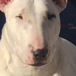 Darron Jackson - @darronjackson484 - Instagram