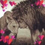 Darron Jones - @darron1785 - Instagram