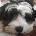 Darron King - @darrontheking - Instagram