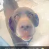 DarkMagic5369 - @darronscott124 - TikTok
