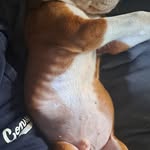 Darryle Emery - @darryleemery - Instagram