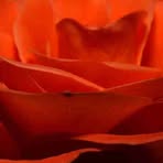 Daryl Acker - Facebook