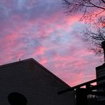 Darryl Ackerman - @dally3367 - Instagram