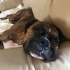 Darrel Hayner - @darrelhayner - TikTok