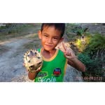 Darryl ALif Fahrezi - @darryl.alif.fahrezi - Instagram