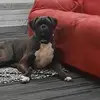 Darryl Allison - @darryl.allison - TikTok