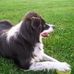 Daryl Allison - Facebook