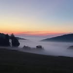 Darryl Andrew - @warren.darryl - Instagram