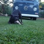 Darryl Armstrong - @darryl.armstrong.792 - Instagram