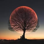 Darryl Armstrong - @darryl.armstrong.1217 - Instagram