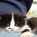 Darryl Avery - Facebook
