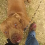 Darryl Back - @darrylback1 - Instagram