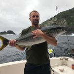 Darryl ball - @darryl_ball - Instagram