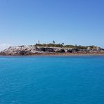 Darryl Ball - @darryl.ball.773 - Instagram